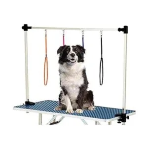 Bucle de aseo para perros y mascotas correa de seguridad_6