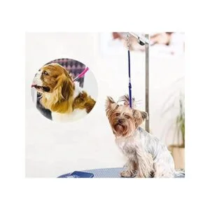 Bucle de aseo para perros y mascotas correa de seguridad_4