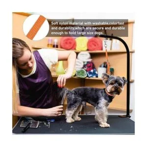 Bucle de aseo para perros y mascotas correa de seguridad_3