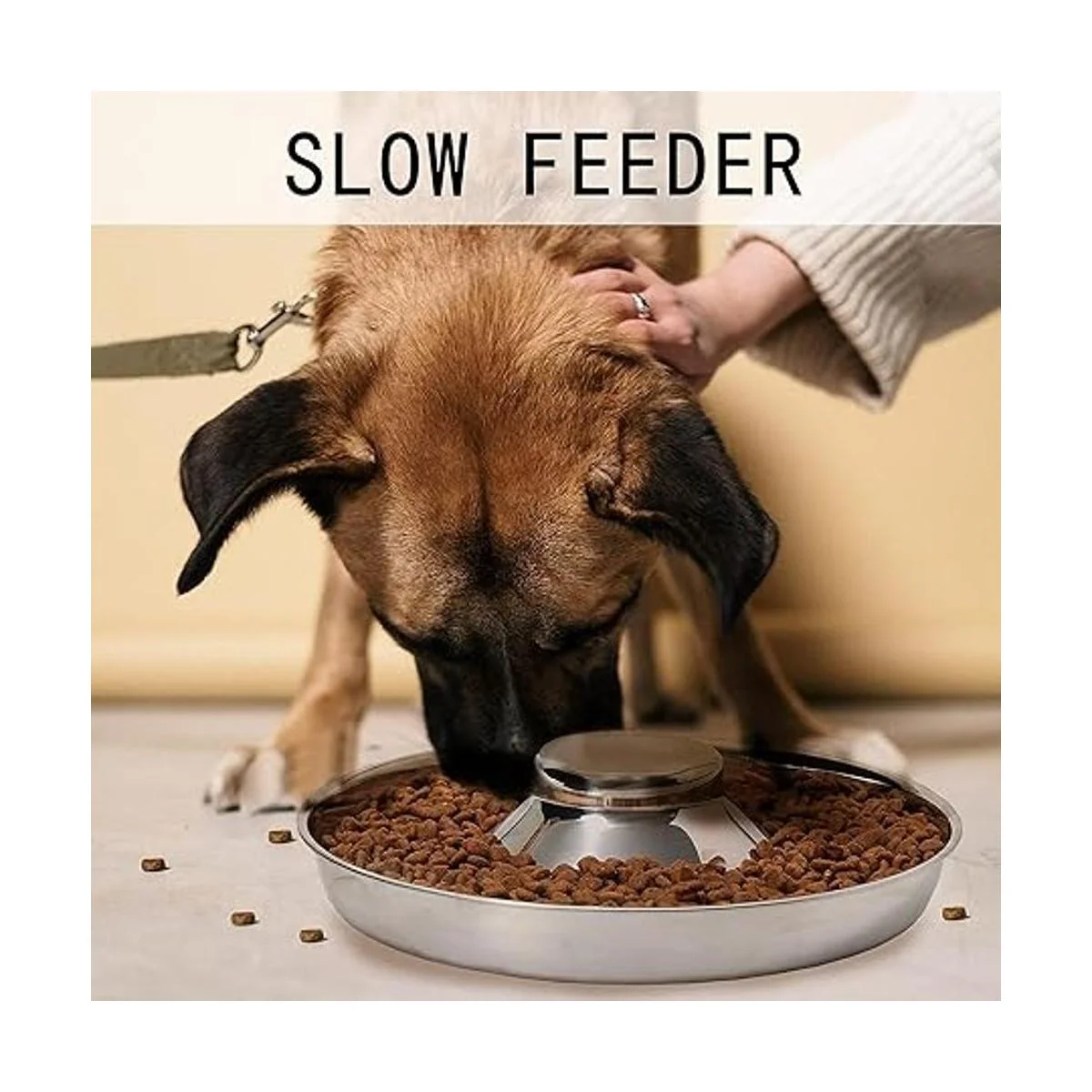 Thankspaw Cuencos de acero inoxidable para cachorros_4
