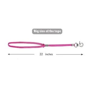 Bucle de aseo para perros y mascotas correa de seguridad_5