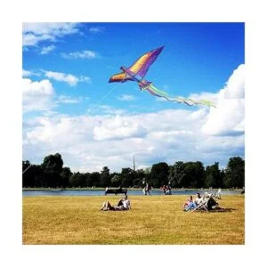 Mints Colorful Life Cometa grande de pájaro Phoenix para_4