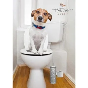 Autumn Alley Juego de cepillo de inodoro rústico y soporte_6