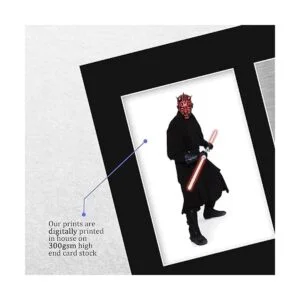 HWC Trading Ray Park Gift USL firmado con autógrafo_4