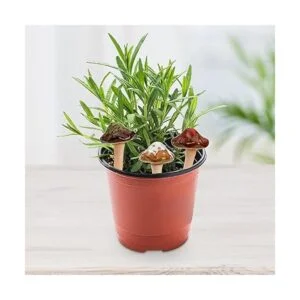 Peohud Paquete de 12 setas de cerámica para jardín_5