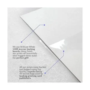 HWC Trading Ray Park Gift USL firmado con autógrafo_7