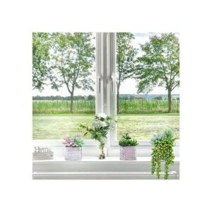 Juego de 3 plantas suculentas pequeñas en maceta_6