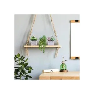 Juego de 3 plantas suculentas pequeñas en maceta_3