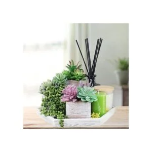 Juego de 3 plantas suculentas pequeñas en maceta_5