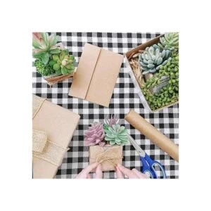 Juego de 3 plantas suculentas pequeñas en maceta_4