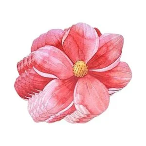 Paquete de 50 alfombrillas desechables de papel en forma_3