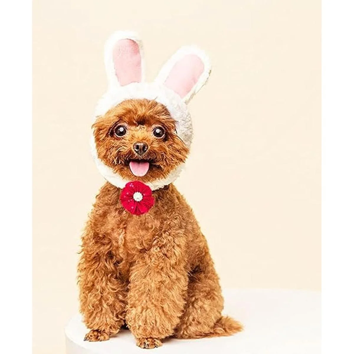 JpGdn 20 piezas pequeño collar de perro flor con diamantes_7