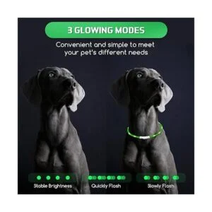 5 piezas LED collar de perro USB recargable luz para perro_4