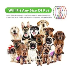 5 piezas LED collar de perro USB recargable luz para perro_7