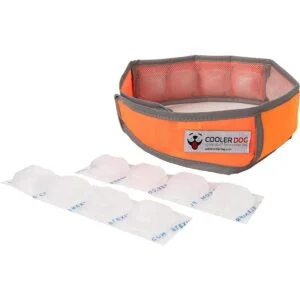 CoolerDog HiVis Collar de enfriamiento para perro color_4