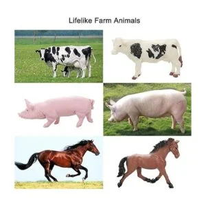 Figuras realistas de animales de granja juego de 44_6