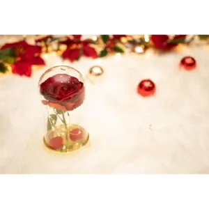 Regalo de cumpleaños de cúpula de cristal rosa roja para_3