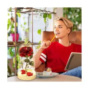 Regalo de cumpleaños de cúpula de cristal rosa roja para_2