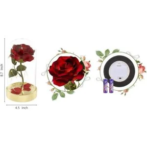 Regalo de cumpleaños de cúpula de cristal rosa roja para_6