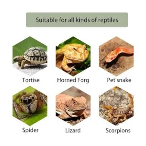 Kathson Tortuga Basking Plataforma Ranas Hábitat Escondido_5