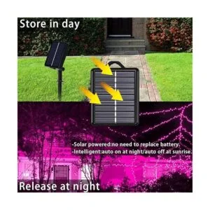 Guirnalda de luces solares para exteriores color rosa_2