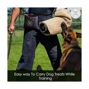 RAW HYD Bolsa de golosinas para perros cuero y lienzo_6