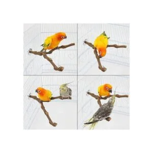 kathson Palo de percha natural para pájaros palo de uva_3