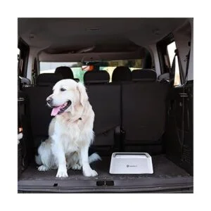 LumoLeaf Cuenco de agua para perros de 70 onzas sin_6