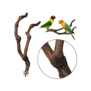 kathson Palo de percha natural para pájaros palo de uva_5