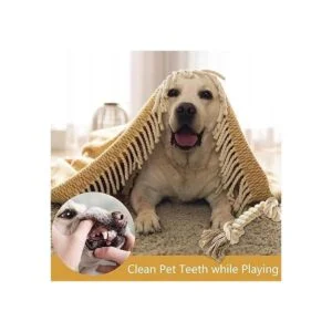 PetiFine Juguetes de cuerda para perros para masticadores_4