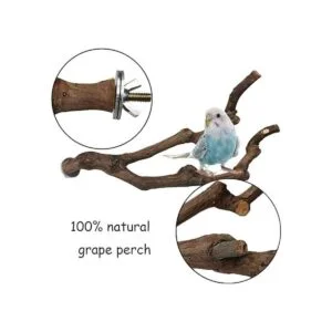 kathson Palo de percha natural para pájaros palo de uva_2