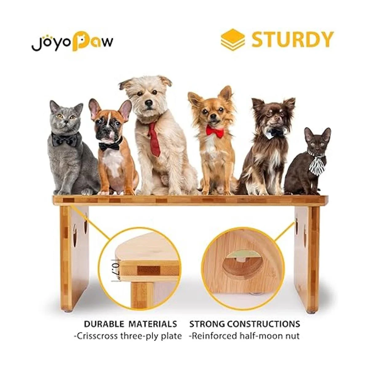 Cuencos elevados para perros cuenco elevado de bambú para_4