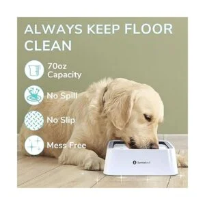 LumoLeaf Cuenco de agua para perros de 70 onzas sin_2
