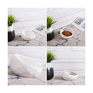 Kathson Cuenco inclinado para perros de cerámica_2