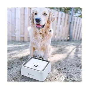 LumoLeaf Cuenco de agua para perros de 70 onzas sin_3