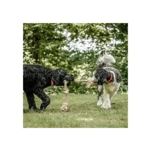 PetiFine Juguetes de cuerda para perros para masticadores_6