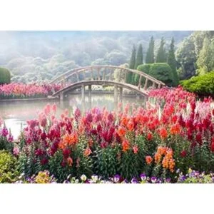 Puzelworx Rompecabezas educativo de 1000 piezas juego_2