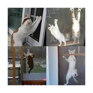 Reemplazo de pantalla de ventana a prueba de mascotas 39_6