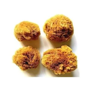 4 esponjas de mar naturales grandes para artes y_1