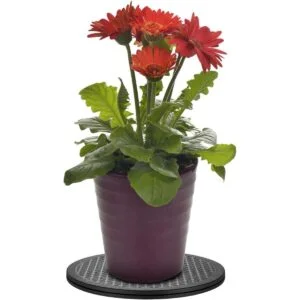 Soporte giratorio resistente con rodamientos de bolas de_5