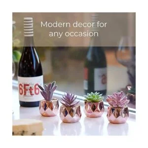 Nordik Juego de 4 plantas de escritorio en oro rosa_6