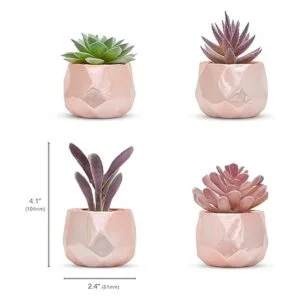 Nordik Juego de 4 plantas de escritorio en oro rosa_2