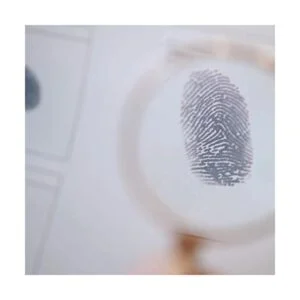 Hidden Games Crime Scene The 1st Case The New Haven_5