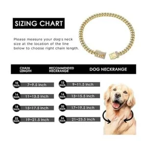 Dopetie Collar de perro con cadena de oro con circonitas_4