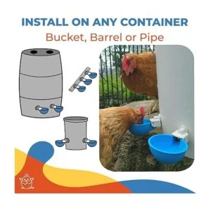 Lil Clucker Paquete de 5 vasos de agua de pollo grandes_5