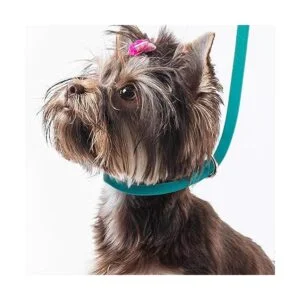 GROOMERSPRO Jelly Grooming Loop Slip Style Se adapta a_6