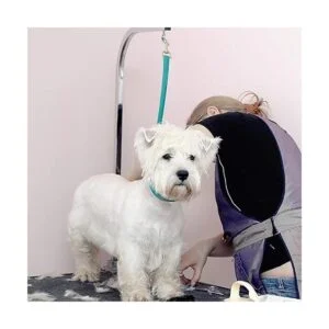 GROOMERSPRO Jelly Grooming Loop Slip Style Se adapta a_3