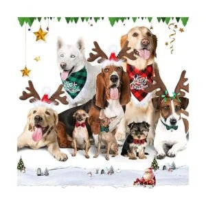 6 unidades de Navidad perro bandana pajarita con diadema_7