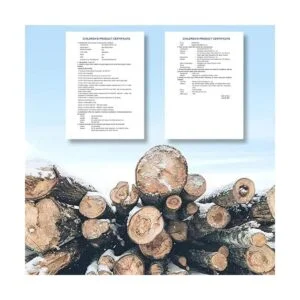 Cubos de madera 31 bloques de construcción de madera ABC_4