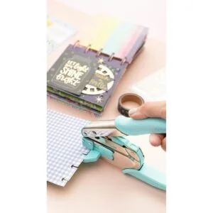 WR Disc Power Punch_3